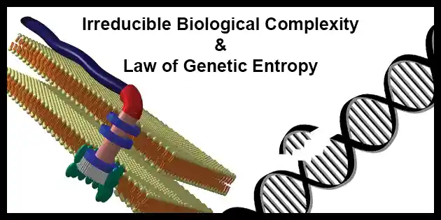 Evidence for God - Irreducible Biological Complexity and Law of Genetic Entropy